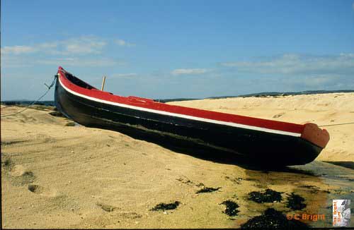 47_Ireland_beached_boat