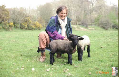 25_UK_fluffy_lambs_and_Inga