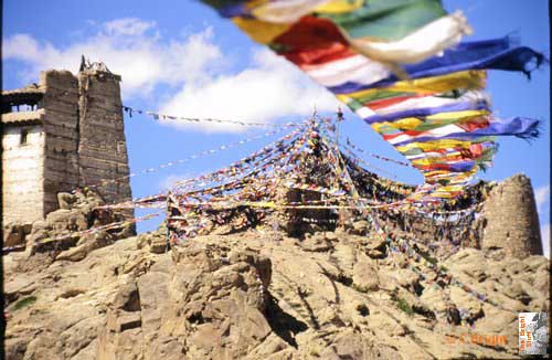 i042_Prayer_flags