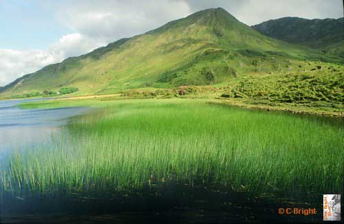 07_Ireland_countryside