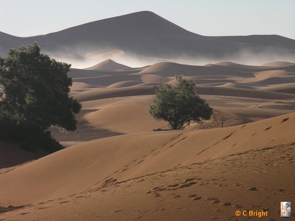 Morocco_Xmas_2007_51.JPG