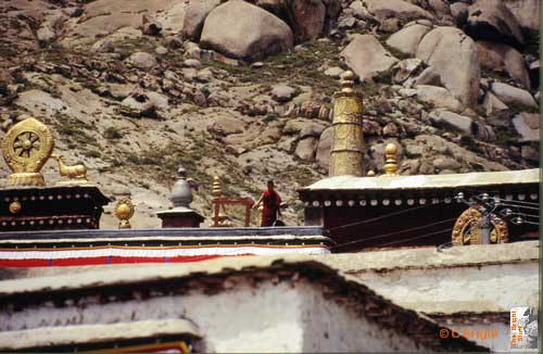 070_Calling_monks_to_debate_Sera_Monastery