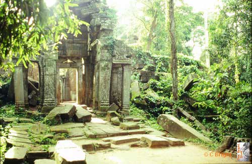 09_Cambodia_Angkor_Wat_Ta_Prohm