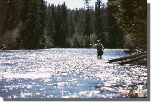 335_Kirk_flyfishing_Wyoming