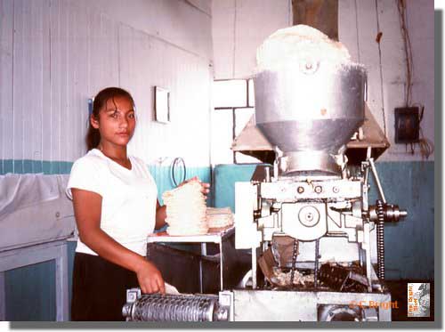 387_Tortilla_machine_Mex