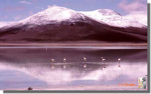 528_Altiplano_Laguna_Verde_Bol