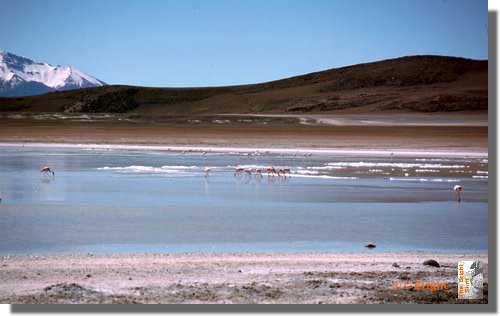 615_Highroad_to_Uyuni