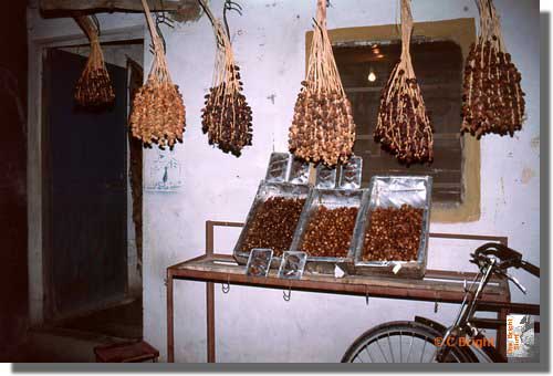 067_Date_stall_Palmyra_Syria