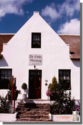 256_Vineyard_Franschoek_Western_Cape