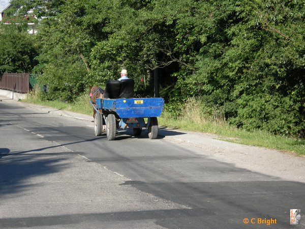 romania_2008_14.JPG