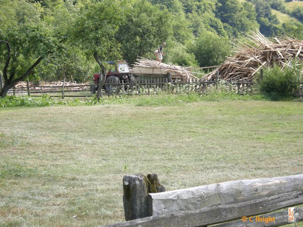 romania_2008_21.JPG