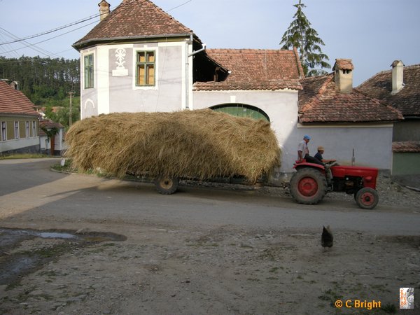 romania_2008_50_54_Saschiz_Transylvania.JPG