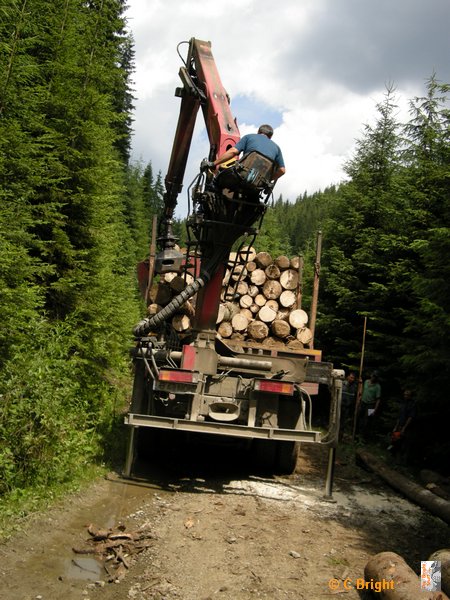 romania_2008_74_loggers.JPG