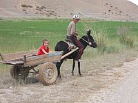 028 Donkey Cart And Trailer Kyrgyzstan.jpg